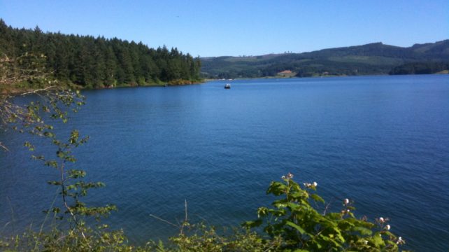 Hagg Lake view
