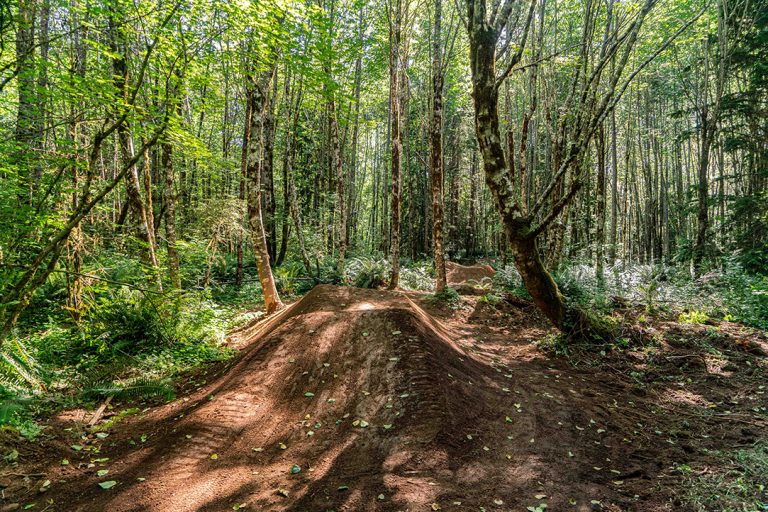 Sandy Ridge Trails Get a TuneUp Northwest Trail Alliance
