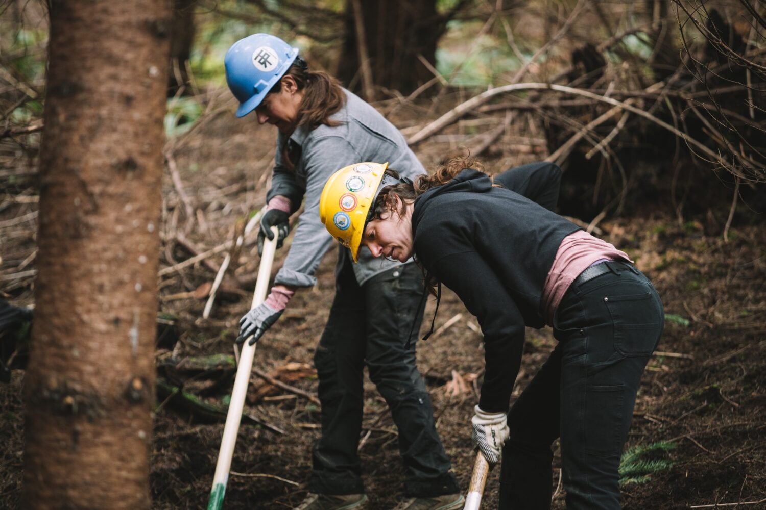 NW Trail Sisters Dig Series – Trail Maintenance at RP — Apr. 15, 2023-29