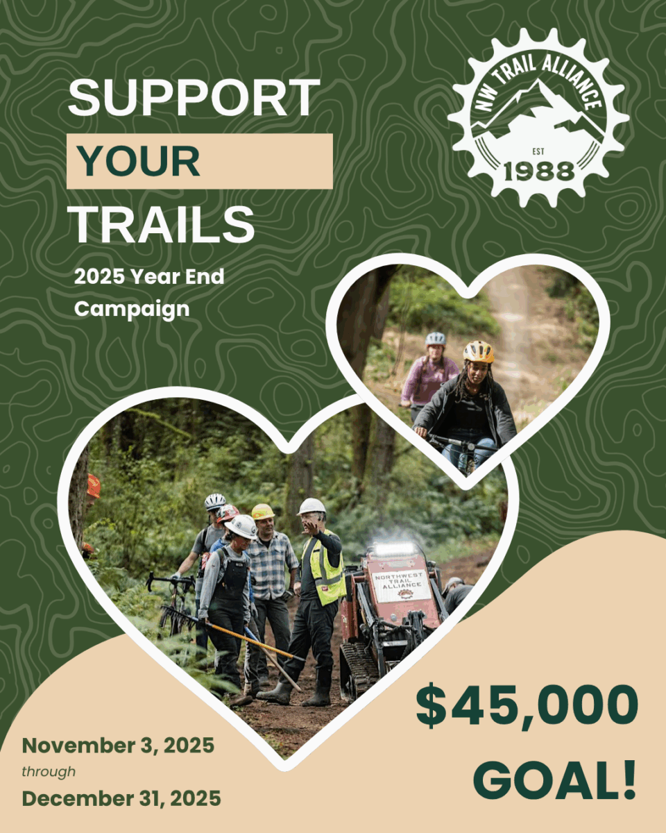 Green and Yellow Modern Fundraising Event Instagram Post (1)