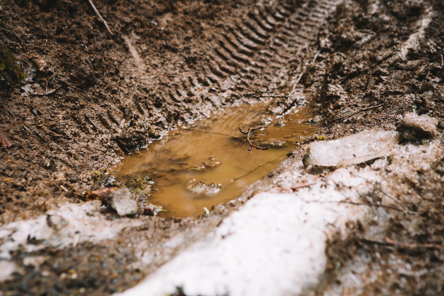 Johnny Royale — Feb. 22, 2025-15