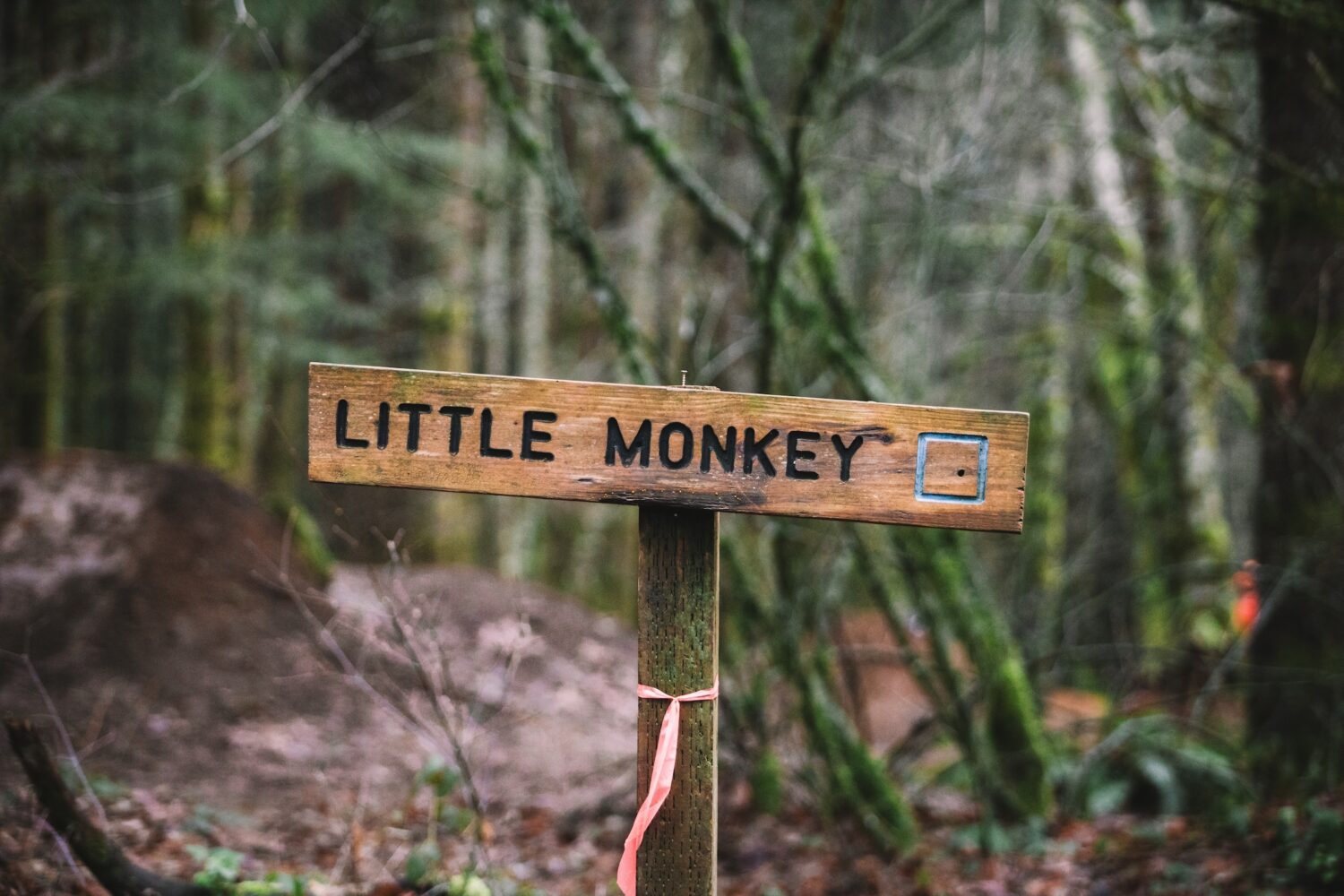 SRT — Feb. 22, 2025-27