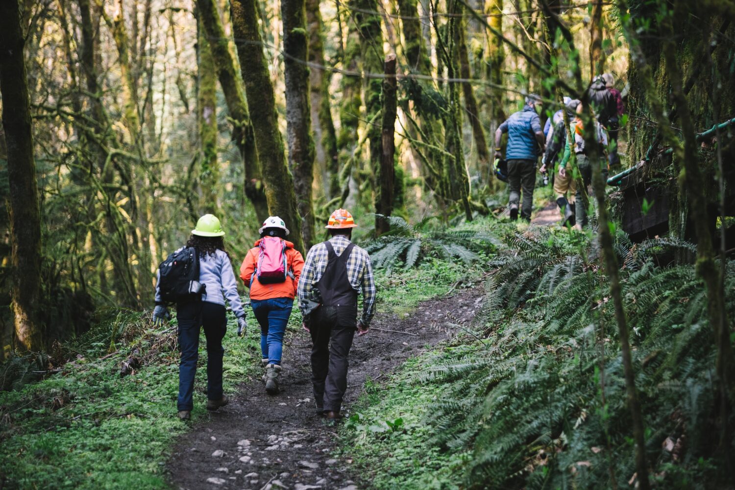 Forest Park – Firelane 5 — Apr. 14, 2023-49