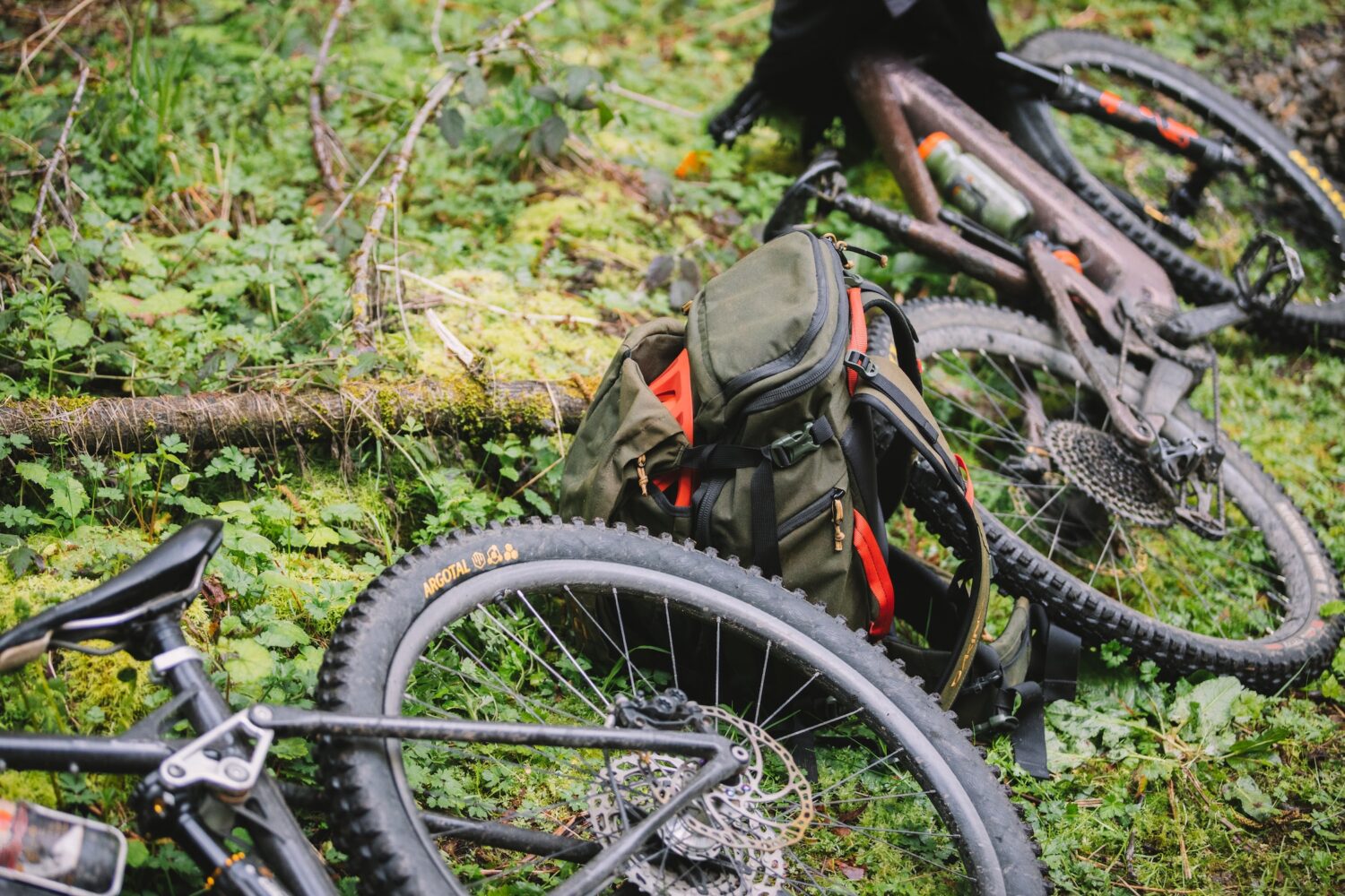 Forest Park – Firelane 5 — Apr. 14, 2023-51