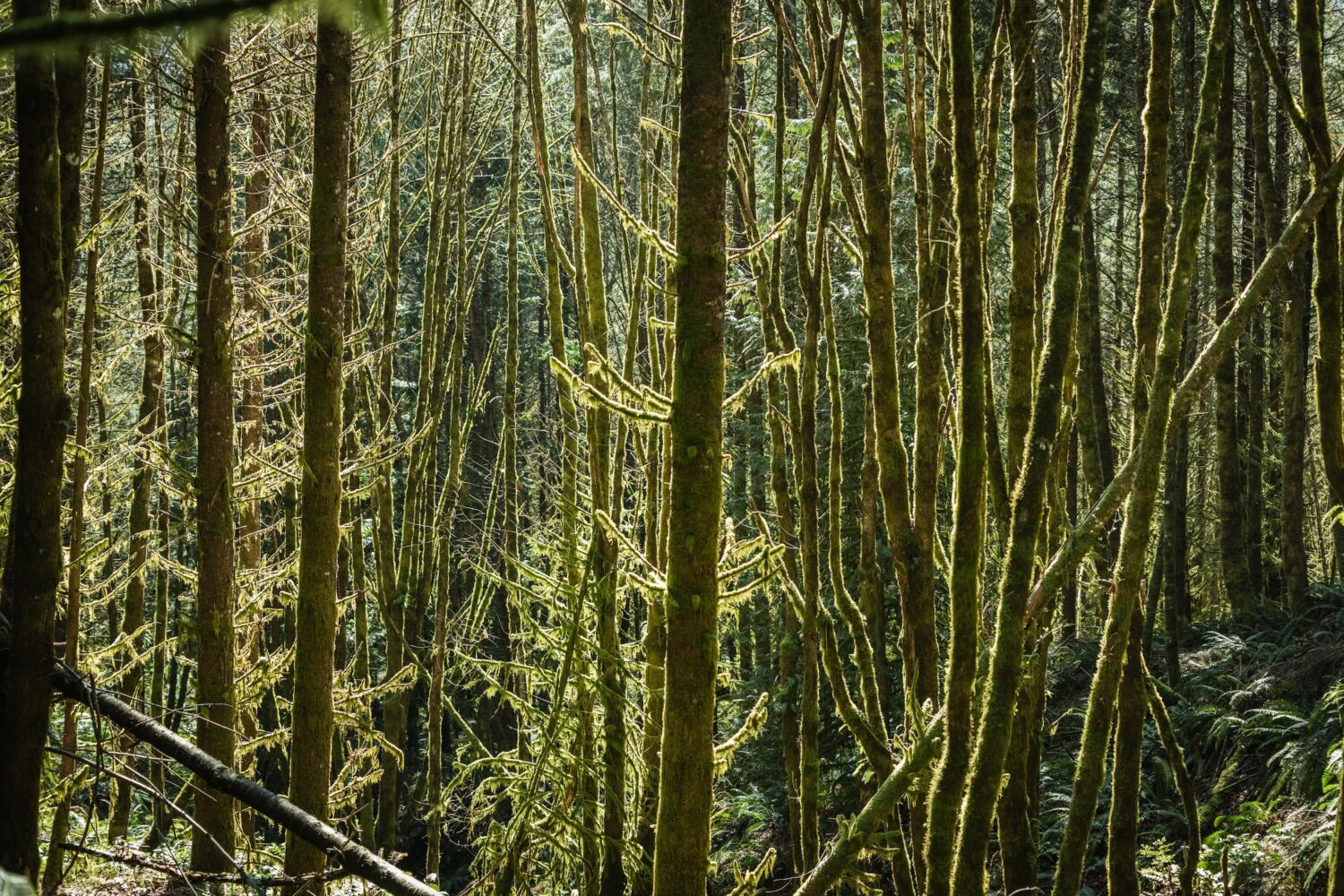 Lower Bob’s — Mar. 30, 2024-17