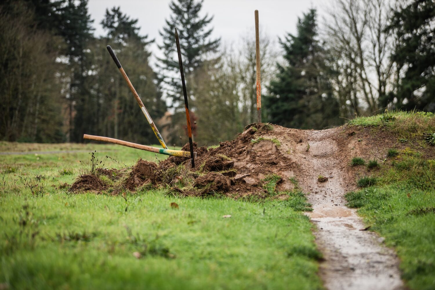 NWTS x TSI – Gateway Green — Dec. 14, 2025-24