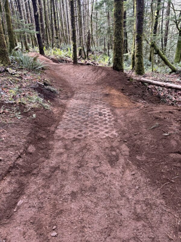 Sandy Ridge Trees Sandy Ridge Trails Get Upgrades on Hide and Seek and Little Monkey ...