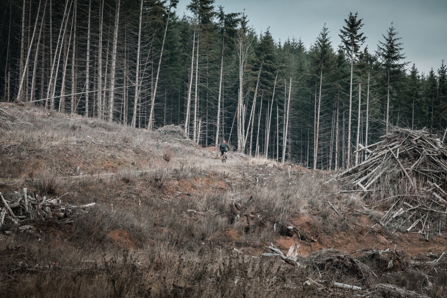 RP — Jan. 30, 2022-18