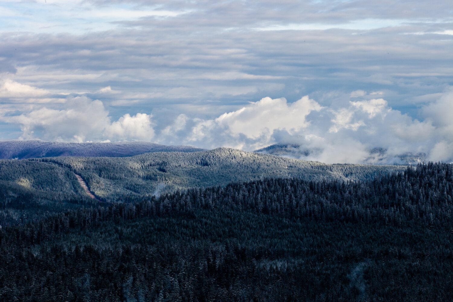 Larch Mountain — Nov. 8, 2020-12